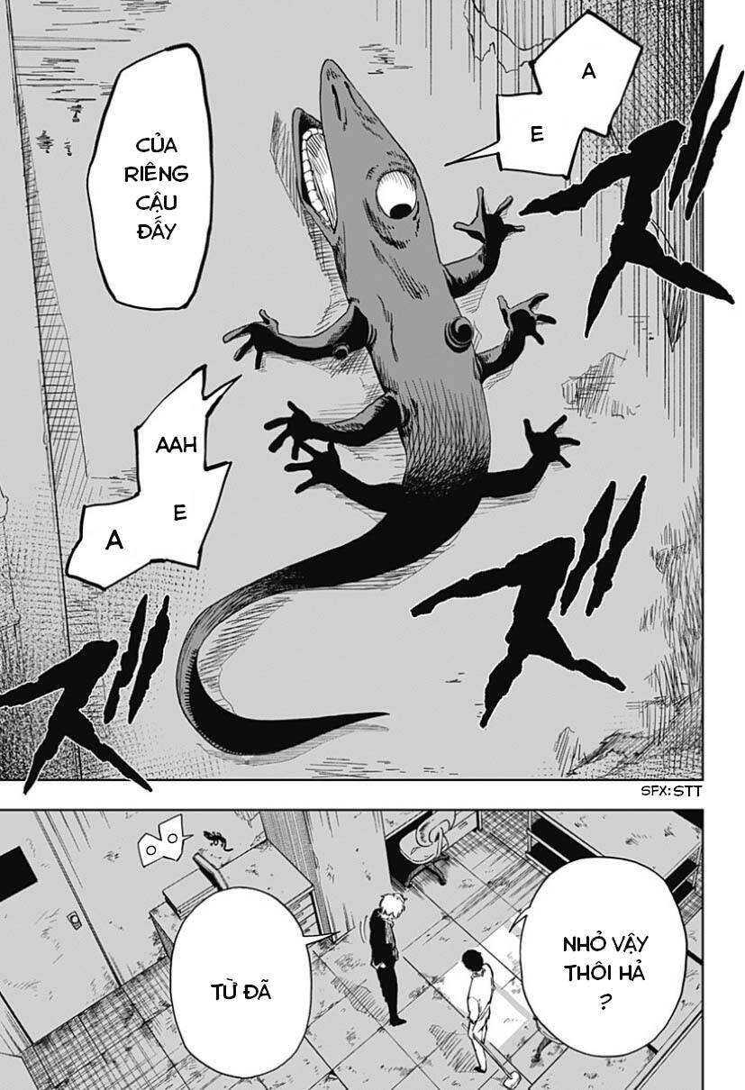 stage s chapter 5 22