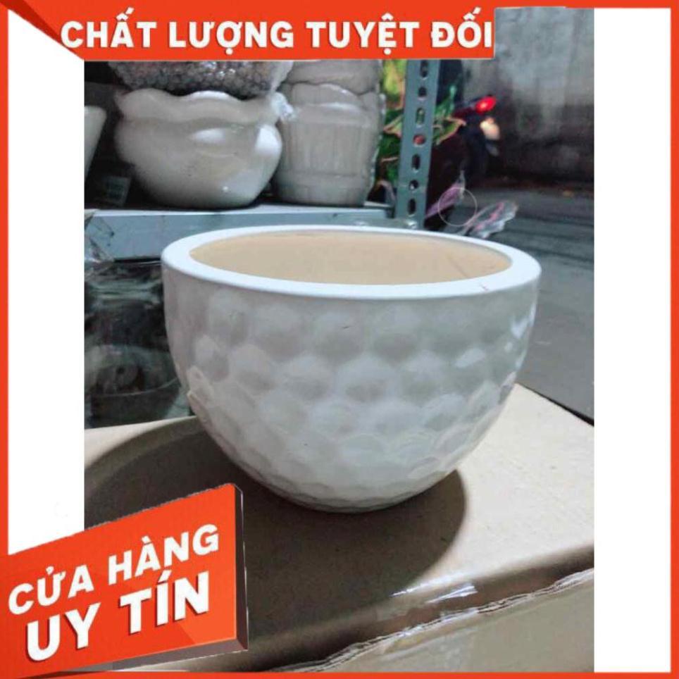 Chậu Trồng Cây Nhiều Người Mua