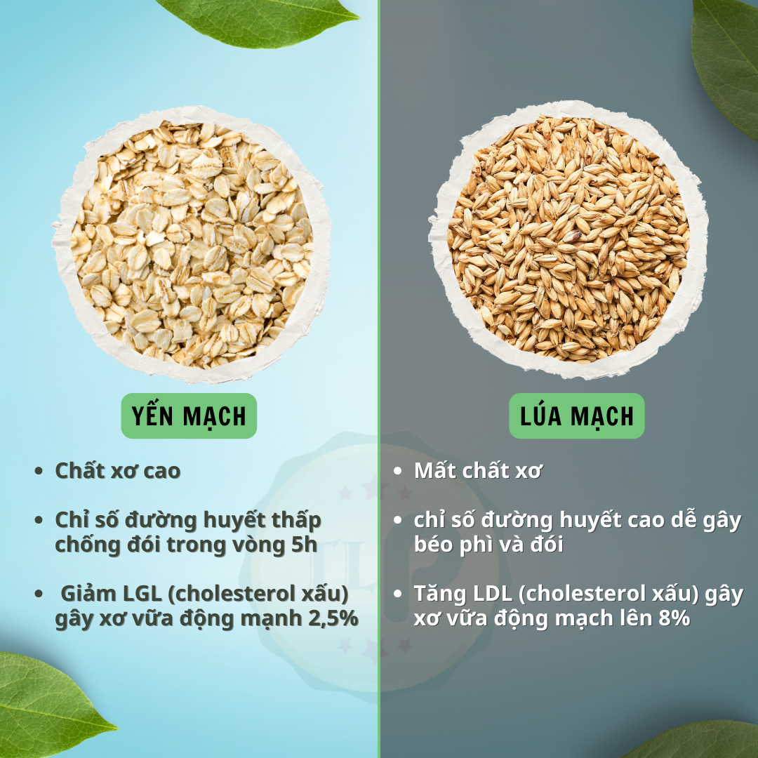 Yến Mạch TLP.100% Organic Hữu Cơ Cán Vỡ / Dẹp Giảm Cân Ăn Kiêng (1.5kg - gồm 3 Gói 500g)