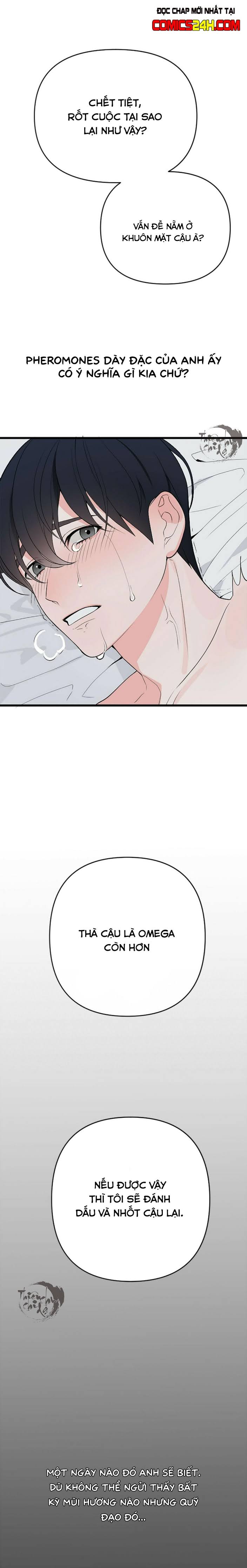 quỹ đạo vô hình chapter 0 5