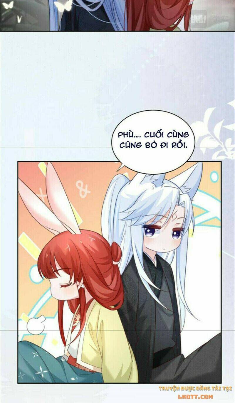 hắc hóa nam chính trực tuyến nuôi thỏ chapter 51 30