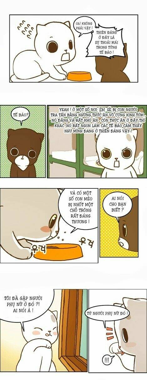 papi nyang chapter 12 4