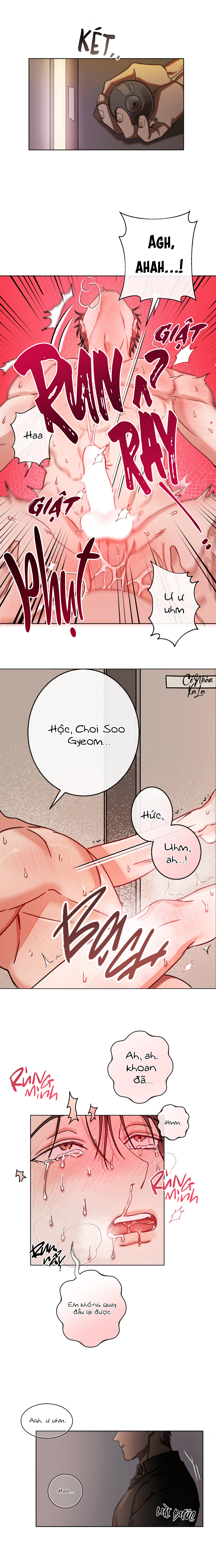 đại ca của tôi chapter 0.1 4