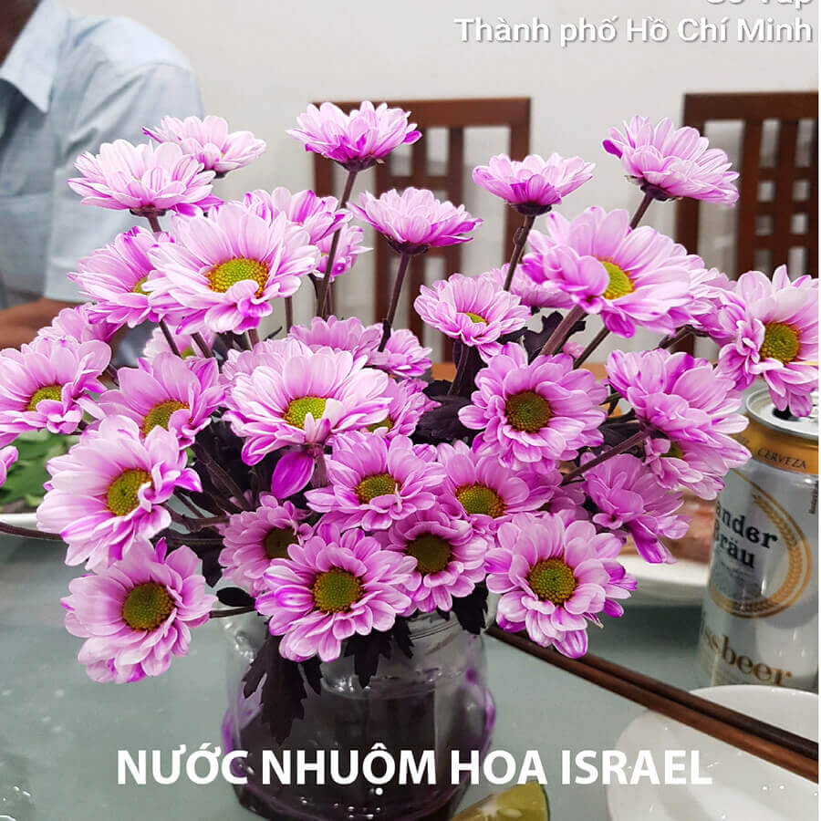 Dung Dịch Nhuộm Hoa Cắt Cành Đổi Màu (Combo 4 chai) theo Công Nghệ Israel giúp hoa nhuộm đổi màu theo ý muốn – The Color Sodium for Fresh Flowers