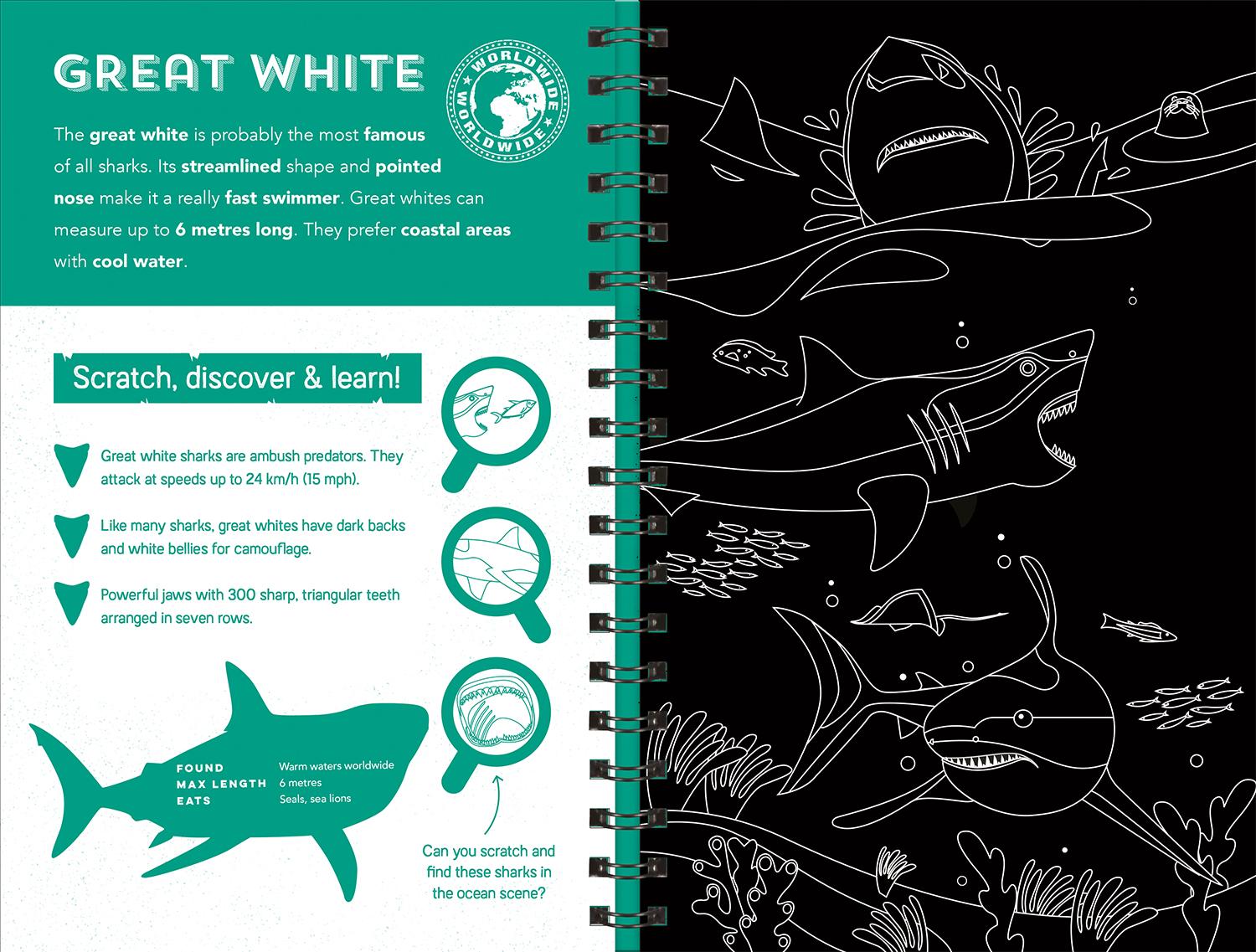 Sharks (Scratch Discover &amp; Learn)