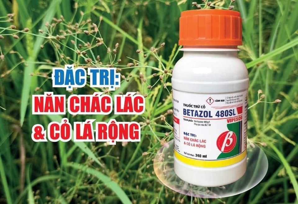 Thuốc trừ cỏ BETAZOL 480SL (100ml) - Đặc trị cỏ lá rộng như mần trầu, lồng vực, xuyến chi…