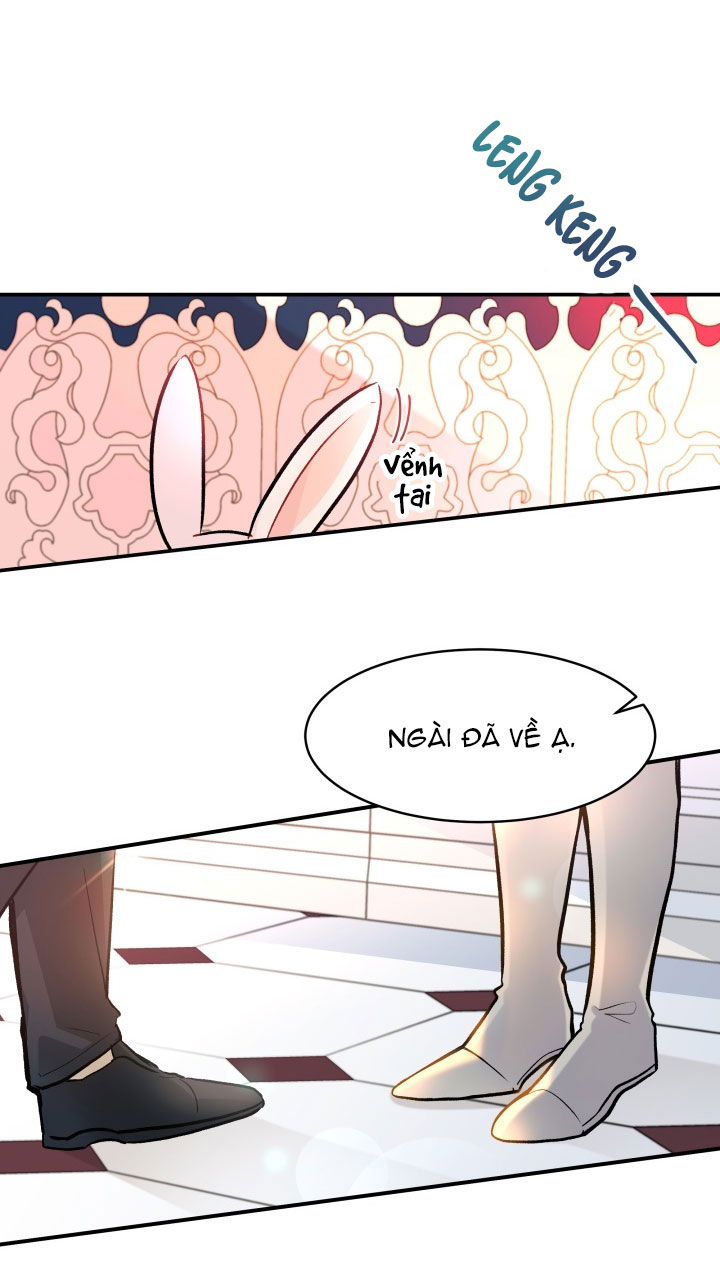 mối liên kết giữa báo đen và bé thỏ chapter 2 52