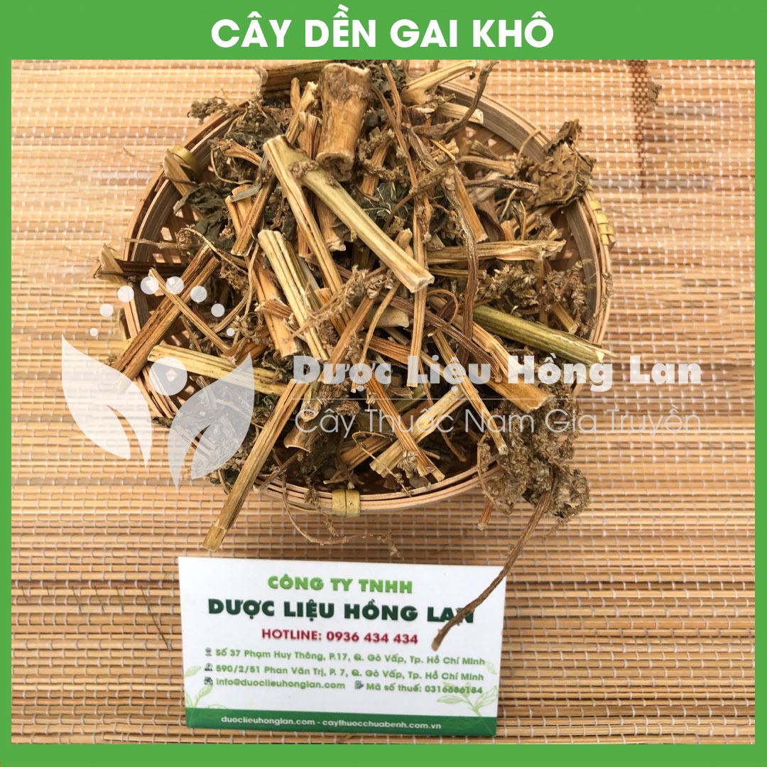 Cây Dền Gai khô sạch đóng gói 500gram