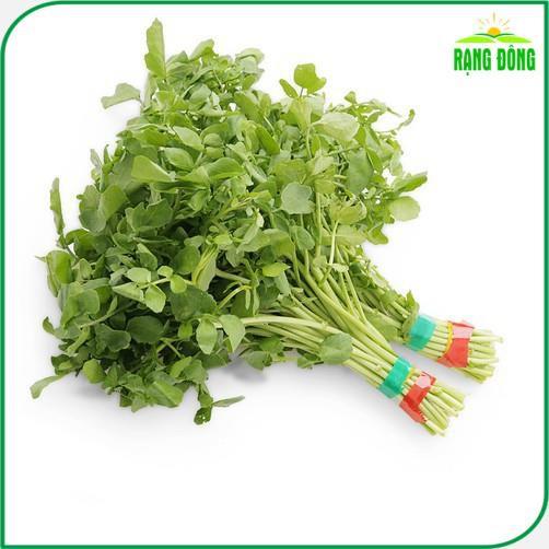 Hạt giống Xà Lách Xoong Sinh Trưởng Khỏe, Trồng Quanh Năm (gói 1 gram) - Hạt Giống Rạng Đông