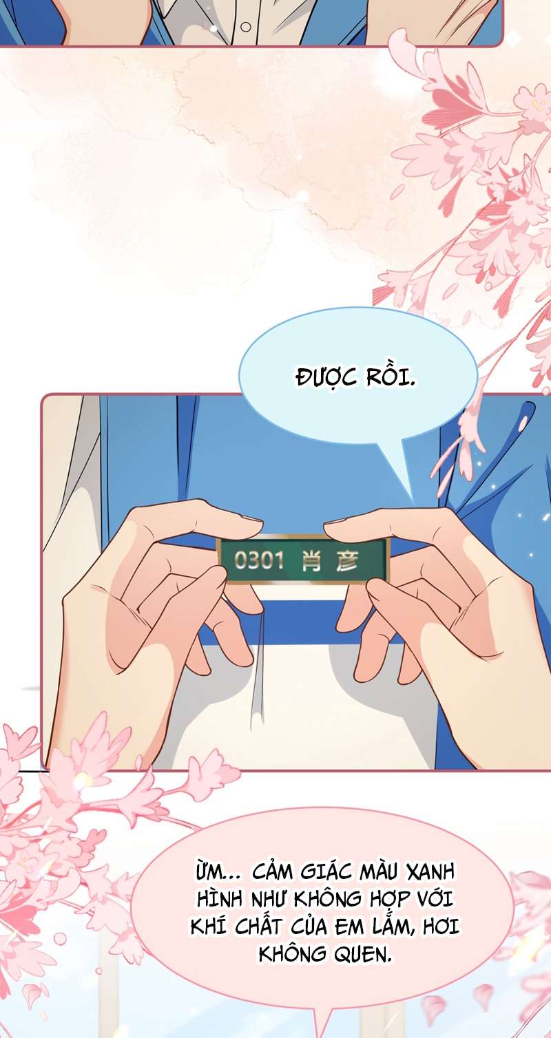 tín tức tố nói chúng ta không thể chapter 70 35