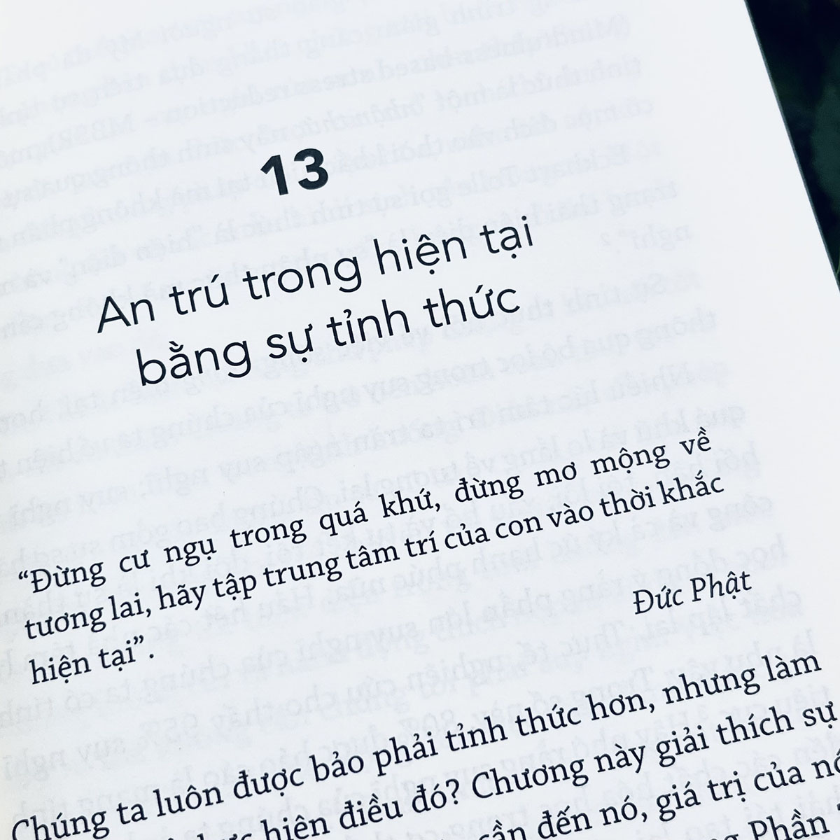Vươn lên từ nghịch cảnh: Rèn tính kiên cường mỗi ngày