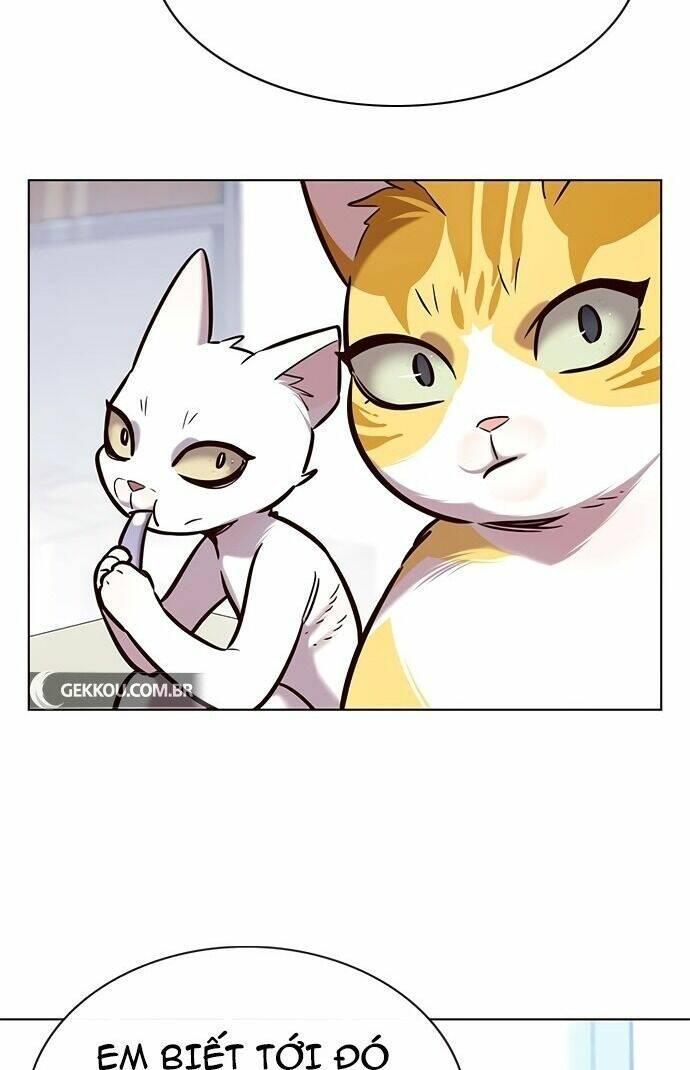 biến thân thành mèo chapter 189 58