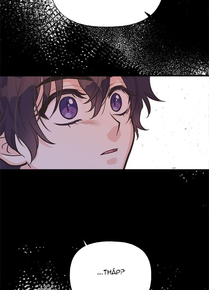 chị tôi đã nhặt về một nam chính quyến rũ chapter 56 53