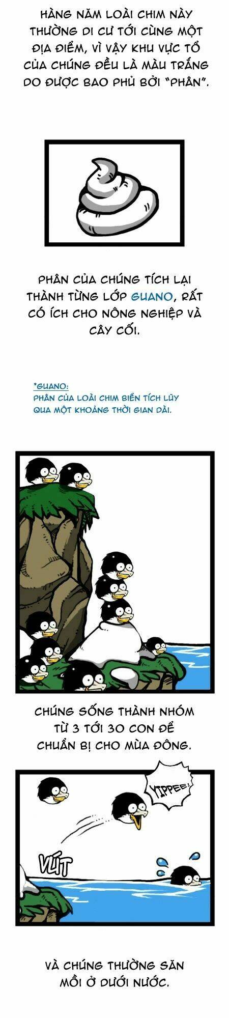 earth, human, and animal chapter 20 18