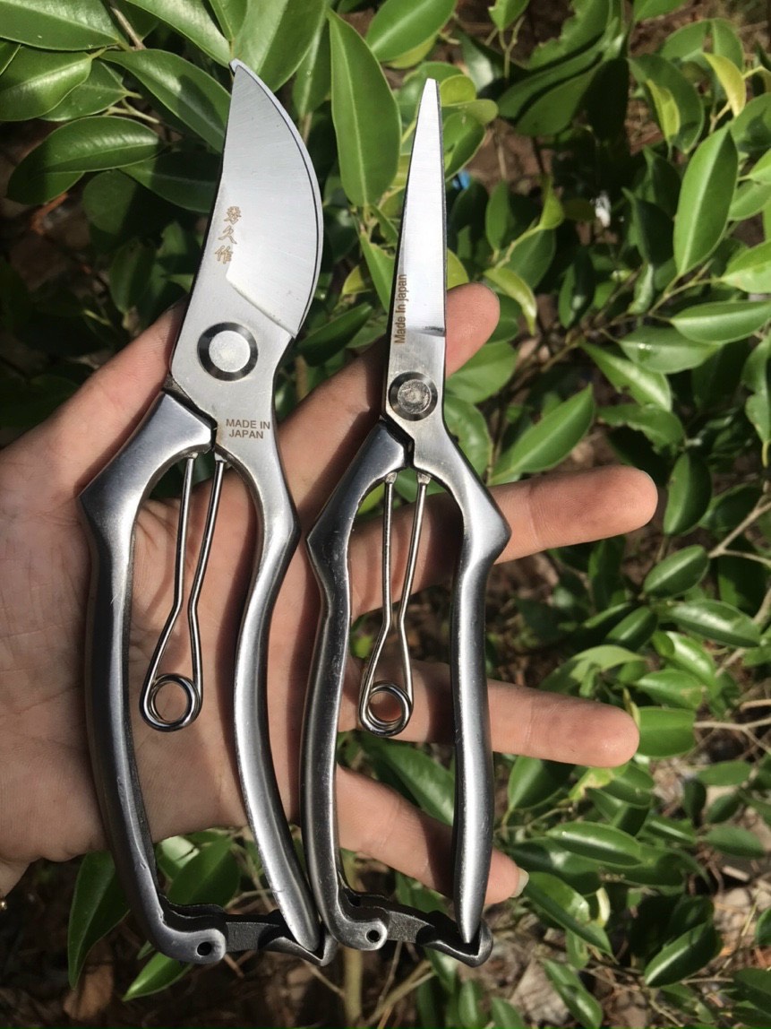 Kéo Cắt Cành Thép Trắng Đúc Nguyên Khối CN Nhật Bản , Thép Trắng Chống Sự Ăn Mòn Tốt Của Môi Trường - JA68