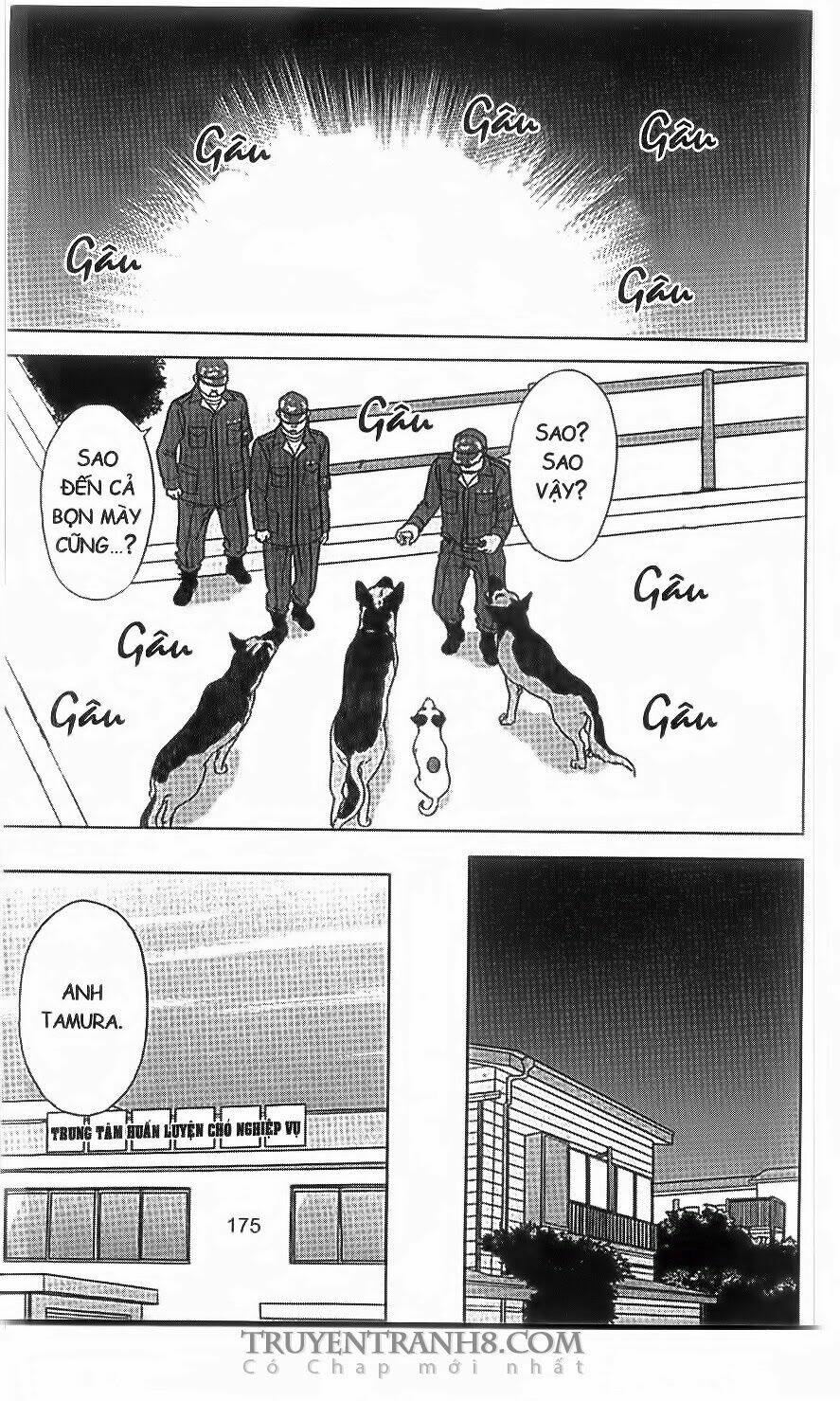 nữ thanh tra cún con chapter 39 22