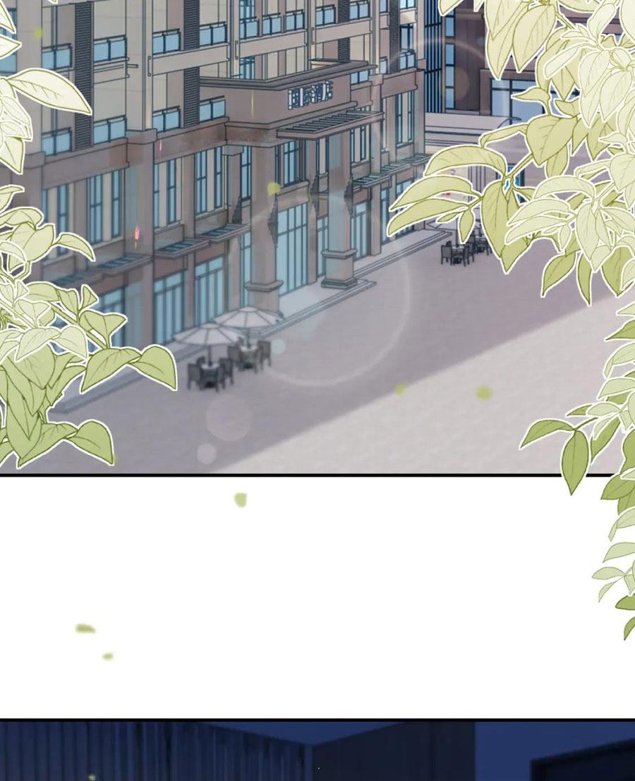 xin hãy ly hôn chapter 102 8