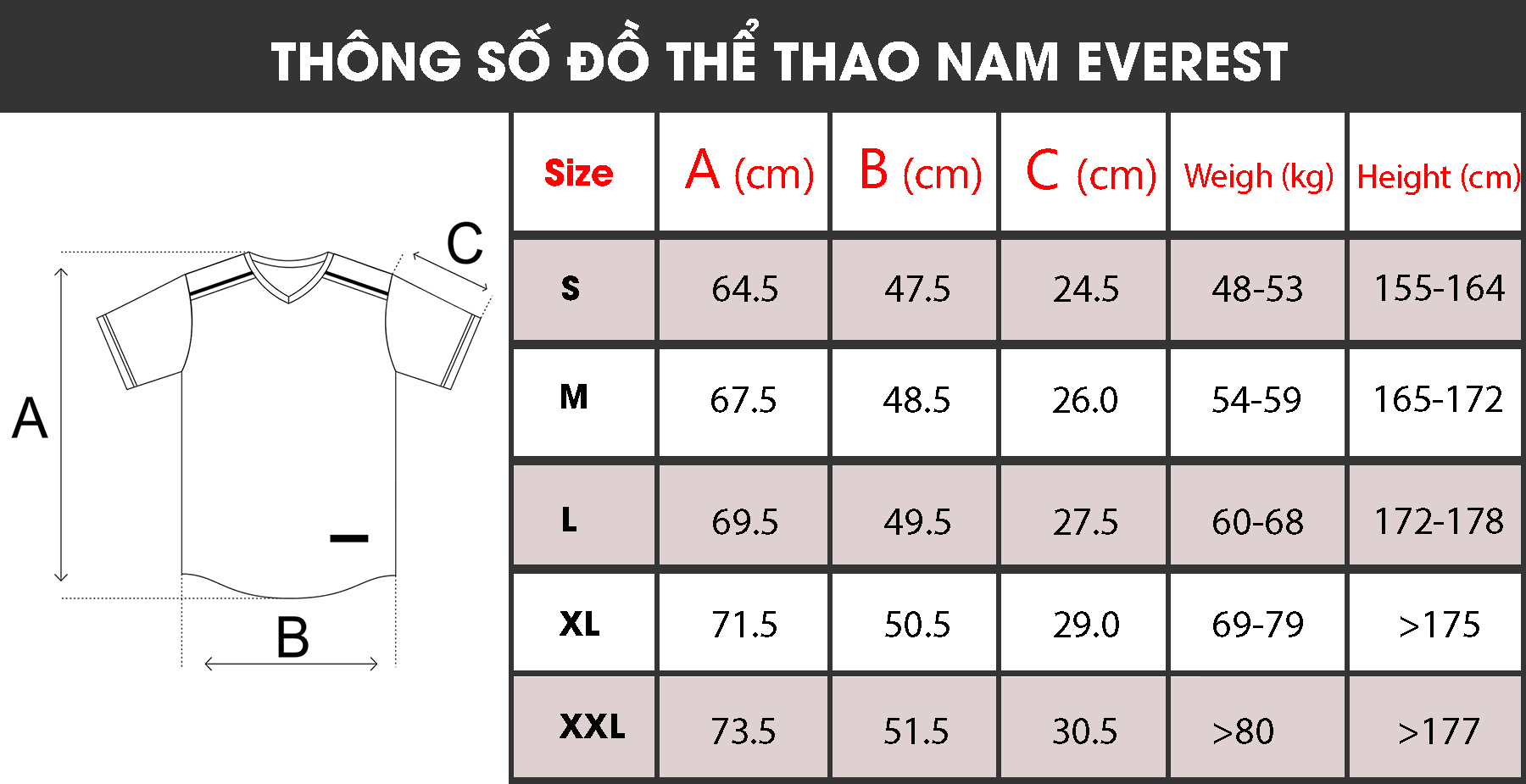 Đồ bộ quần áo thể thao bóng đá nam thời trang EVEREST FT102 Nhiều màu