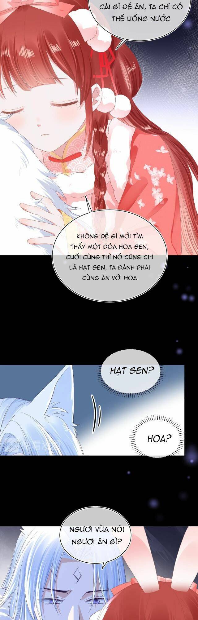 hắc hóa nam chính trực tuyến nuôi thỏ chapter 6 10