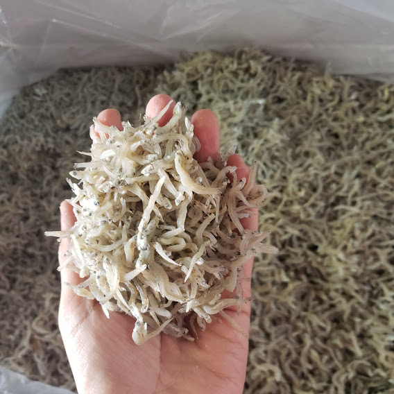 Đặc Sản Nha Trang - Cá Cơm Mờm Sữa Loại 1 Seavy 1kg
