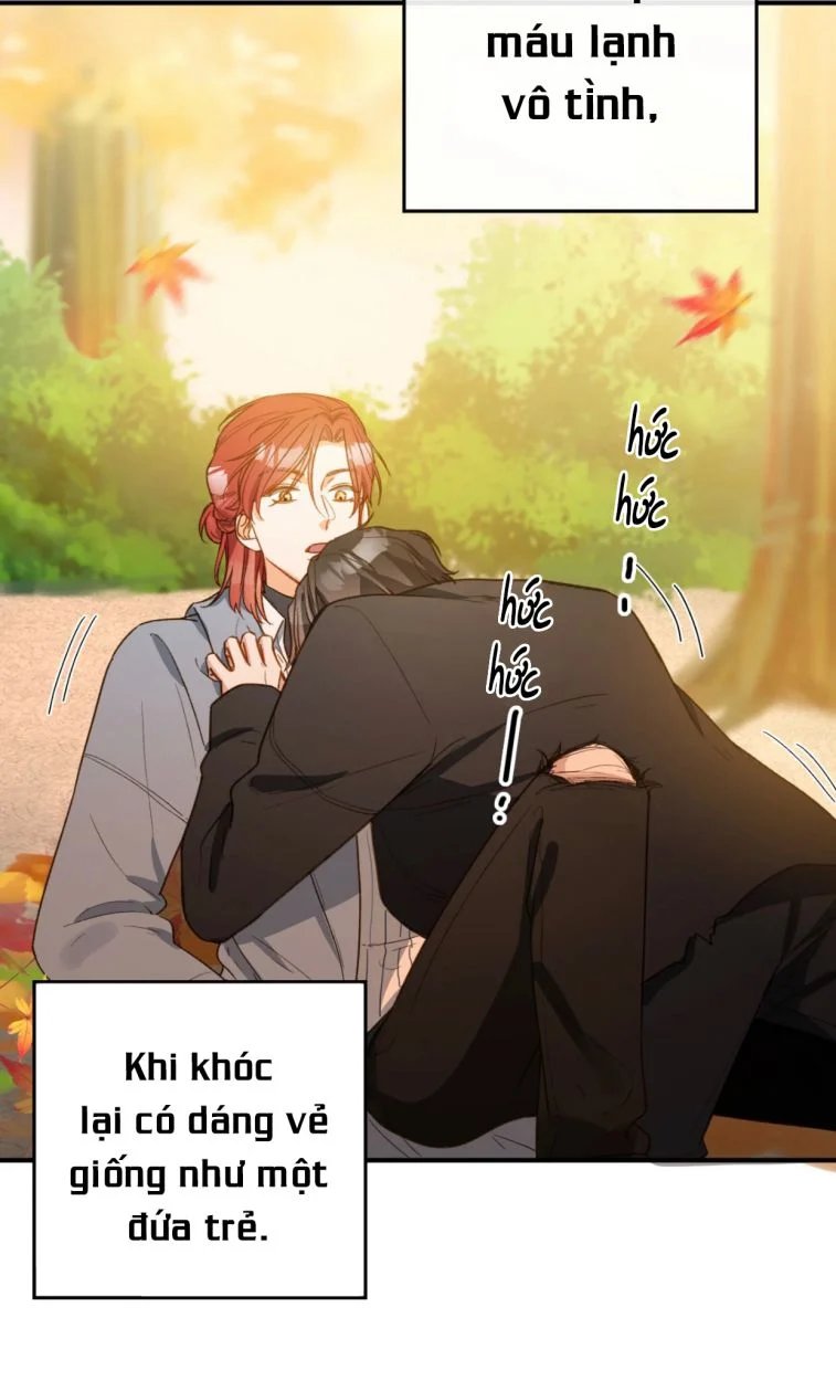 nụ hôn vực thẳm chapter 99 19