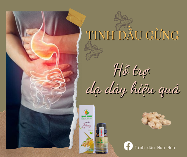 Tinh dầu Gừng nguyên chất Hoa Nén 5ml - Giảm đau đầu, say tàu xe, hỗ trợ tiêu hoá