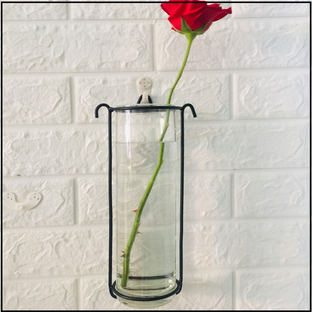 Chậu thủy tinh trụ tròn treo tường 8 x 27cm