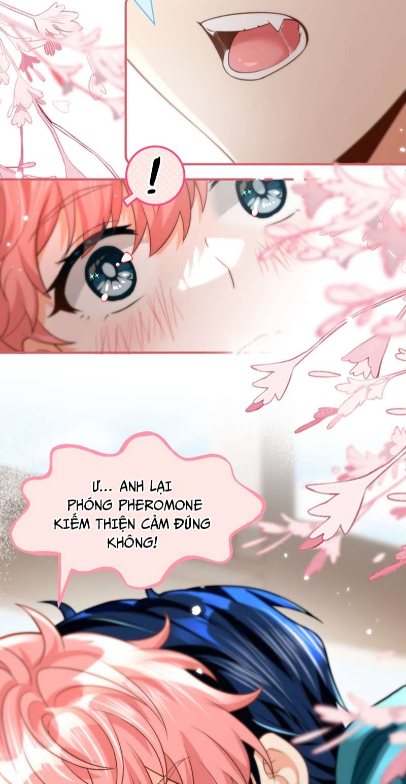 tín tức tố nói chúng ta không thể chapter 71 13