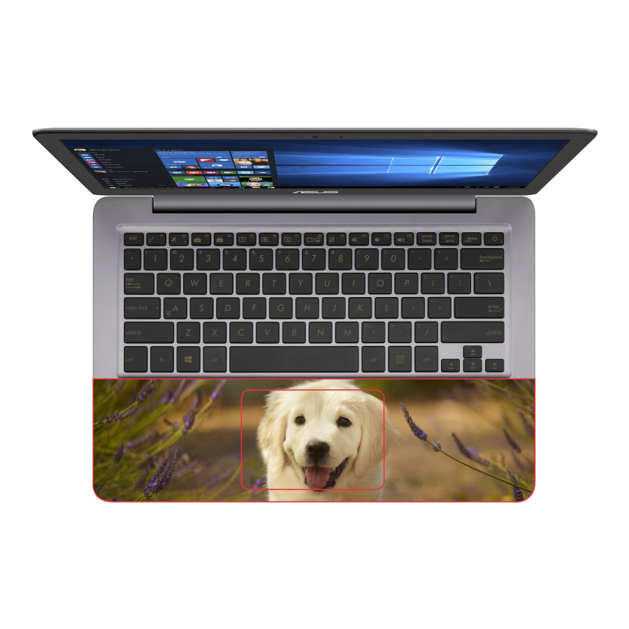 Mẫu Skin Dán Trang Trí Decal Laptop Animal – Mã: DCLTDV 032