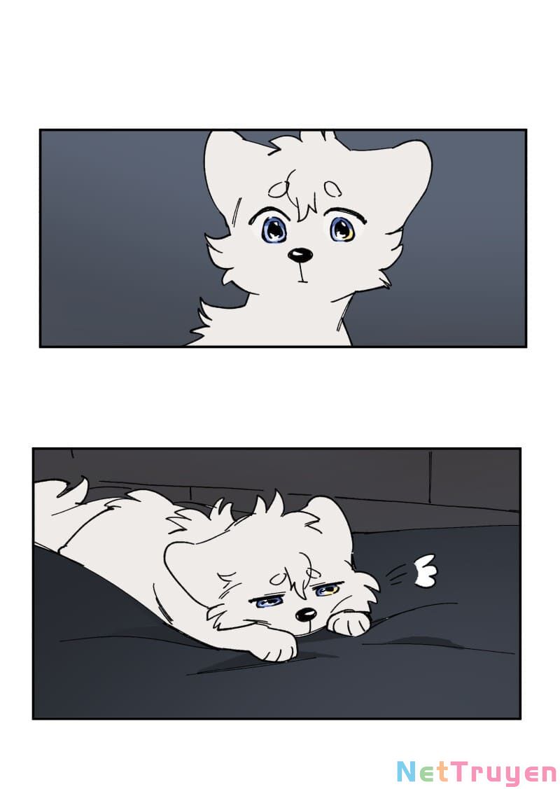 lumine - cội nguồn ánh sáng chapter 112 33