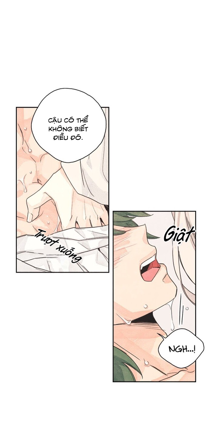 bắp cải bên dưới củ cải chapter 1 29