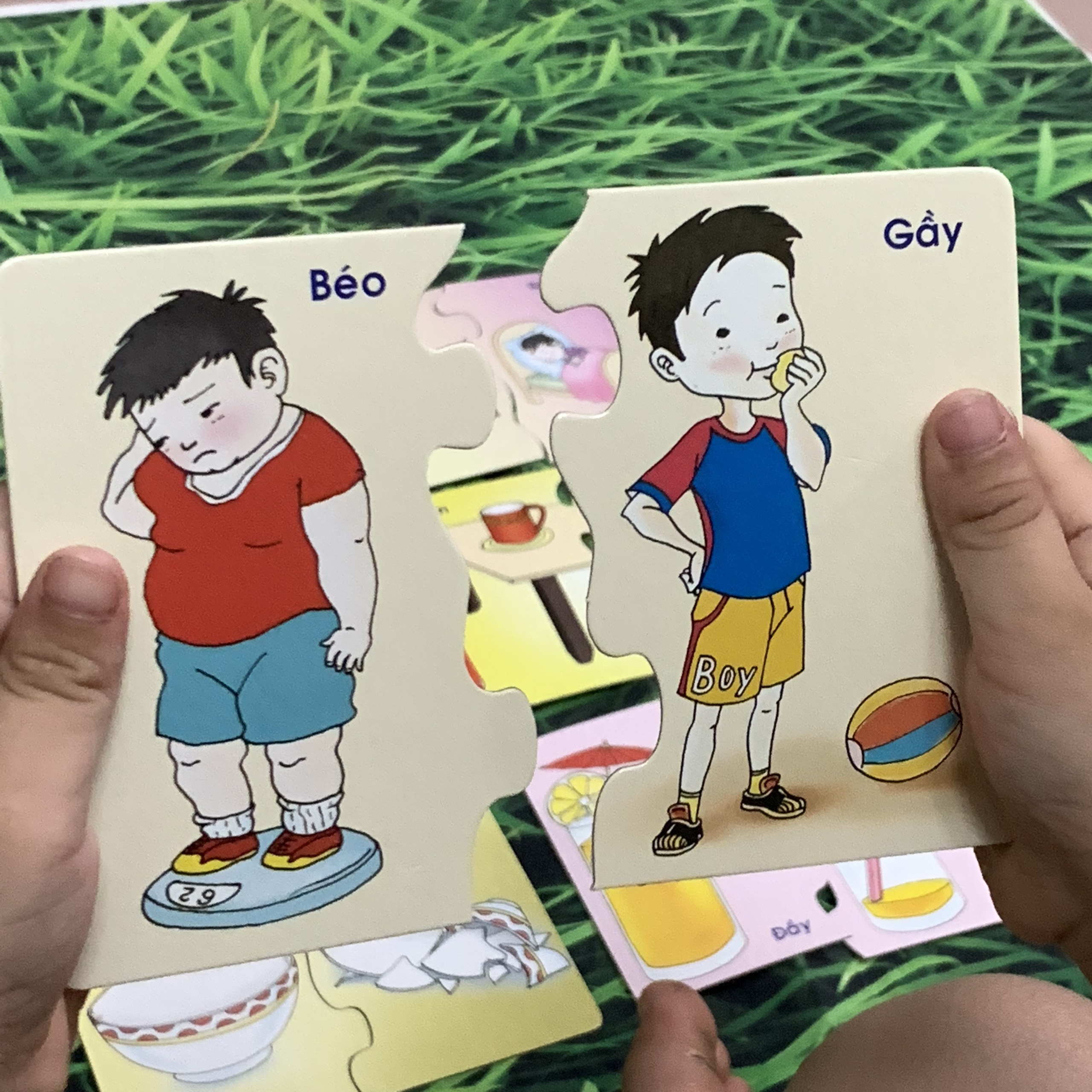 Combo Thẻ Học Thông Minh Flashcards Lắp Ghép Các Khái Niệm Tương Phản Và Bộ 16 Chủ Đề(416 Thẻ)