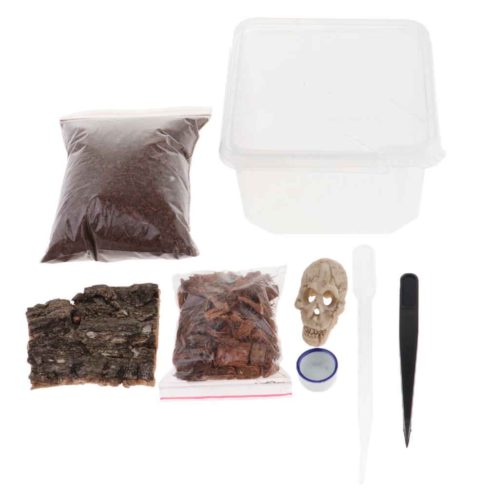 Reptiles Terrariums Feeding Box for Spider Insect Cricket Snail Frog L