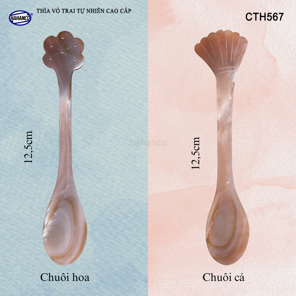 Muỗng Cà Phê Gia Vị Bằng Xà Cừ Tiêu Chuẩn Xuất Khẩu - HAHANCO - CTH567