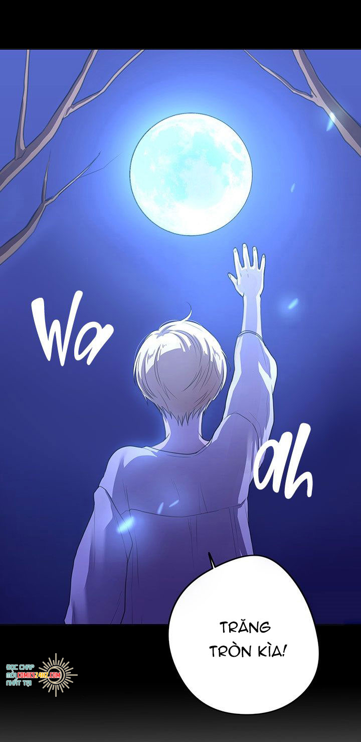 đắm chìm trong màu mắt anh chapter 2 26