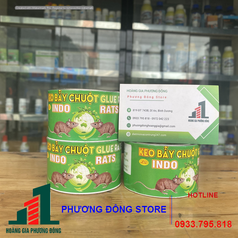  Keo dính chuột lon INDO -90g 