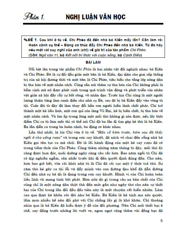 Sách - 270 đề và bài văn hay 11