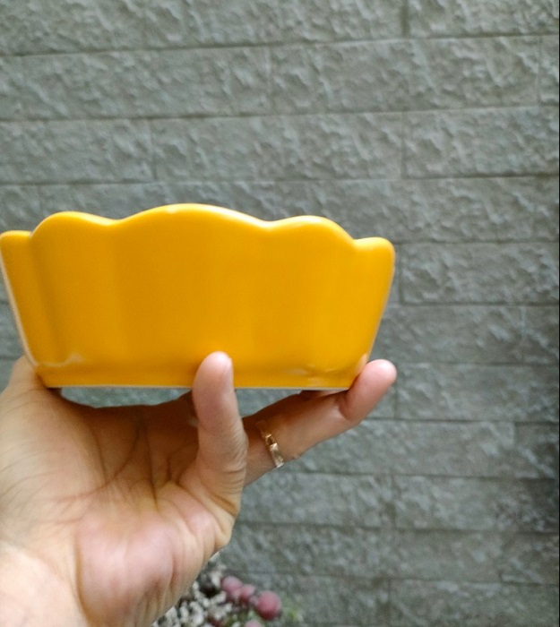 Tô sứ viền lượn vàng cao cấp màu vàng