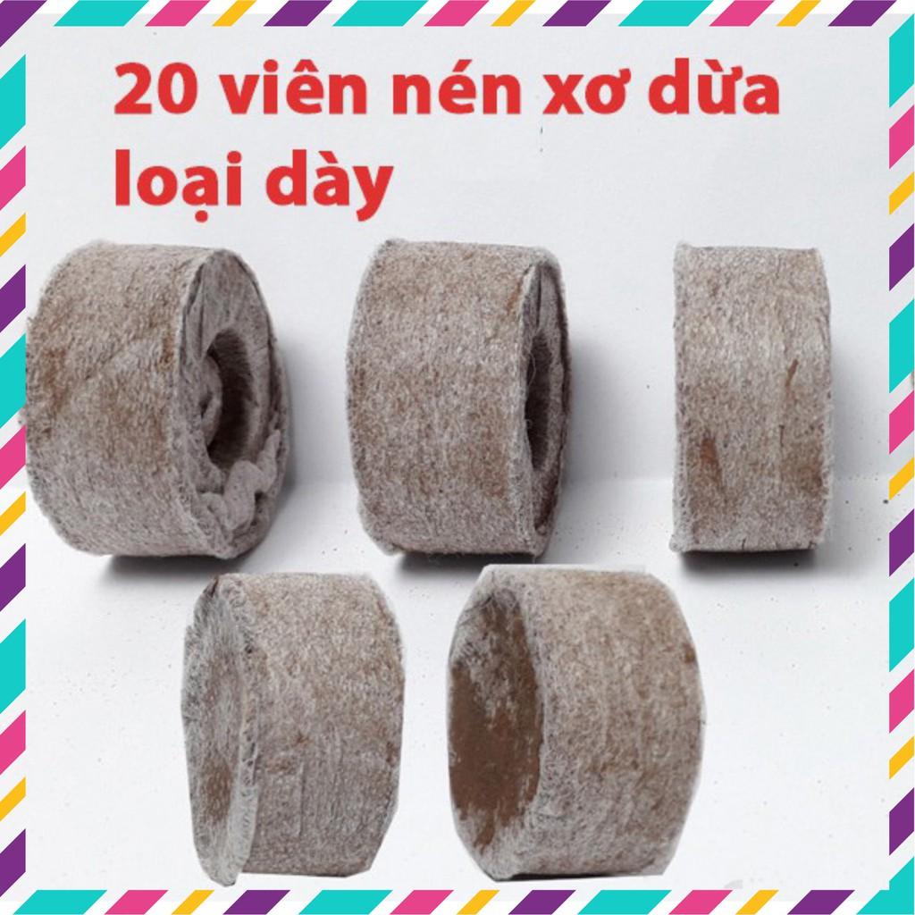 Viên Nén Xơ Dừa_Viên Nén Ươm Hạt_Ươm Lan_Giâm Cành Hiệu Quả Nhất