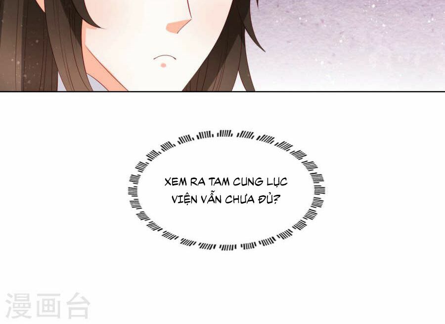 nam phi nữ tướng chapter 30 6