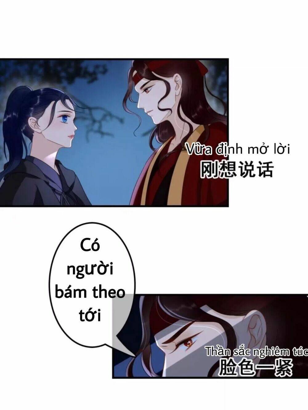 sủng phi của vương chapter 62 23