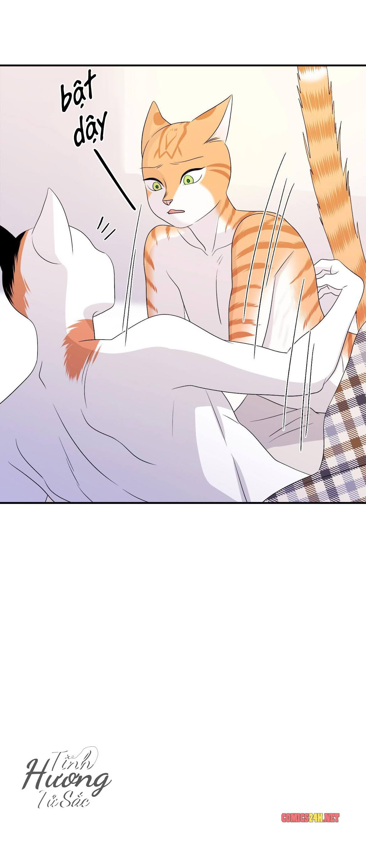 dự án xanh chapter 3 45