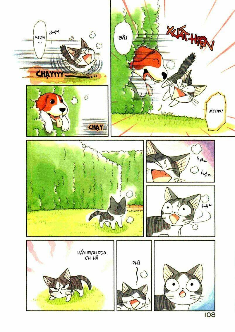 chi's sweet home chapter 70 3