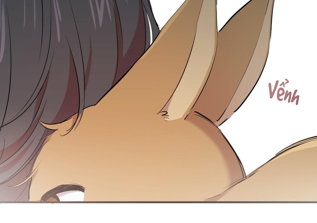 đàn thỏ của habibi chapter 20 236