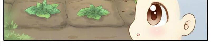 tiểu hoà thượng - chào mừng đến trấn yêu quái chapter 3 6