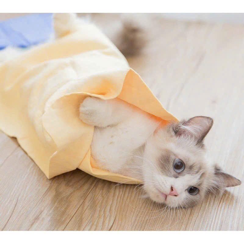 KHĂN TẮM SIÊU THẤM HÚT DÀNH CHO THÚ CƯNG CHÓ MÈO