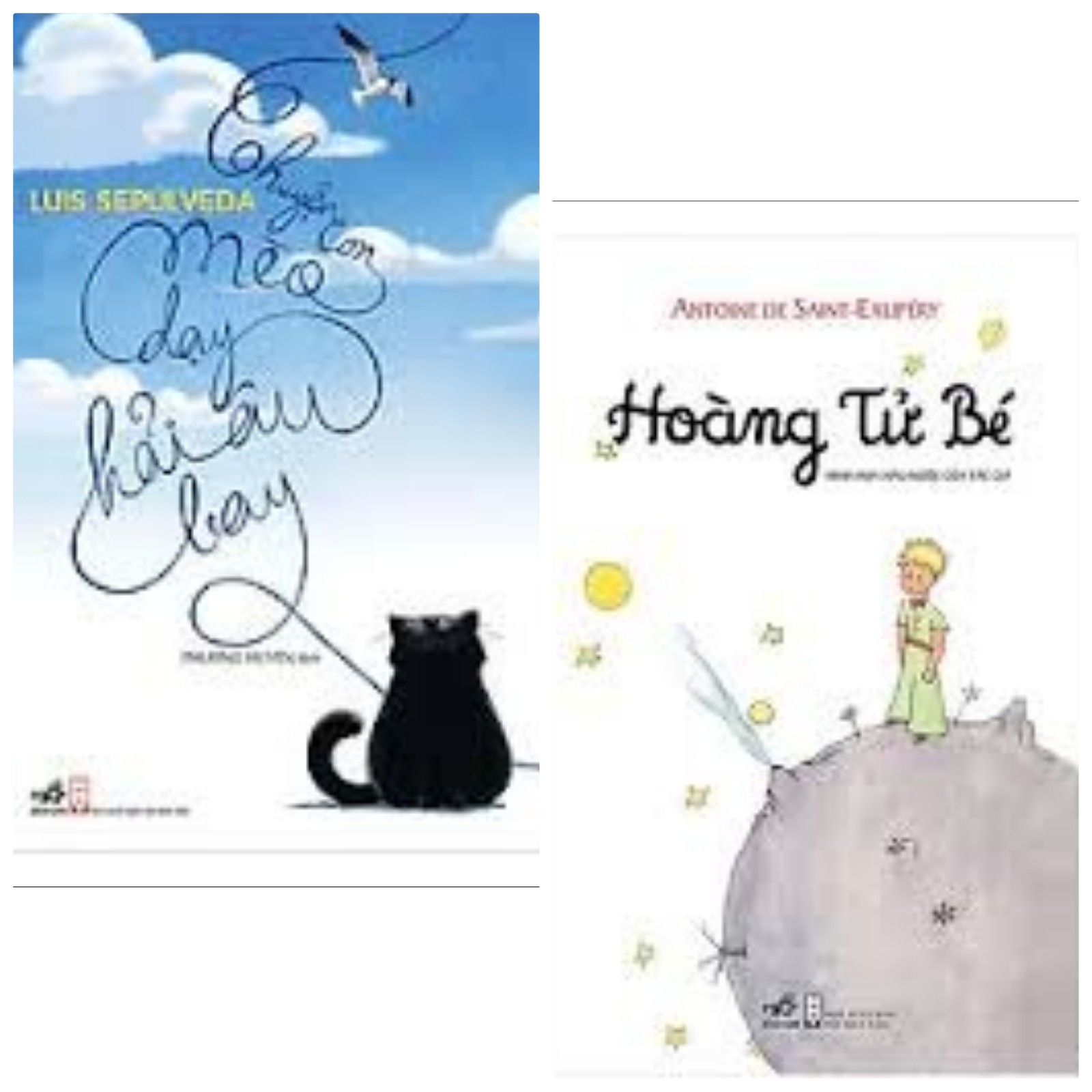 Combo 2 cuốn: Hoàng tử bé + Chuyện con mèo dạy hải âu bay