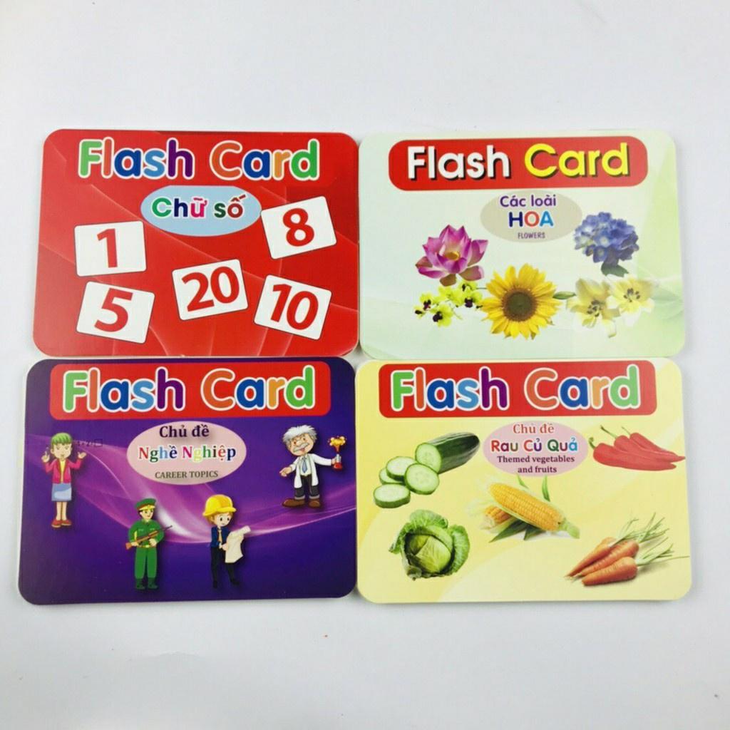 Bộ Thẻ Học Thông Minh 19 Chủ Đề Loại To Song ngữ tiếng Anh loại chuẩn Glenn Doman Flashcard cho bé từ 0-6 tuổi- MT books