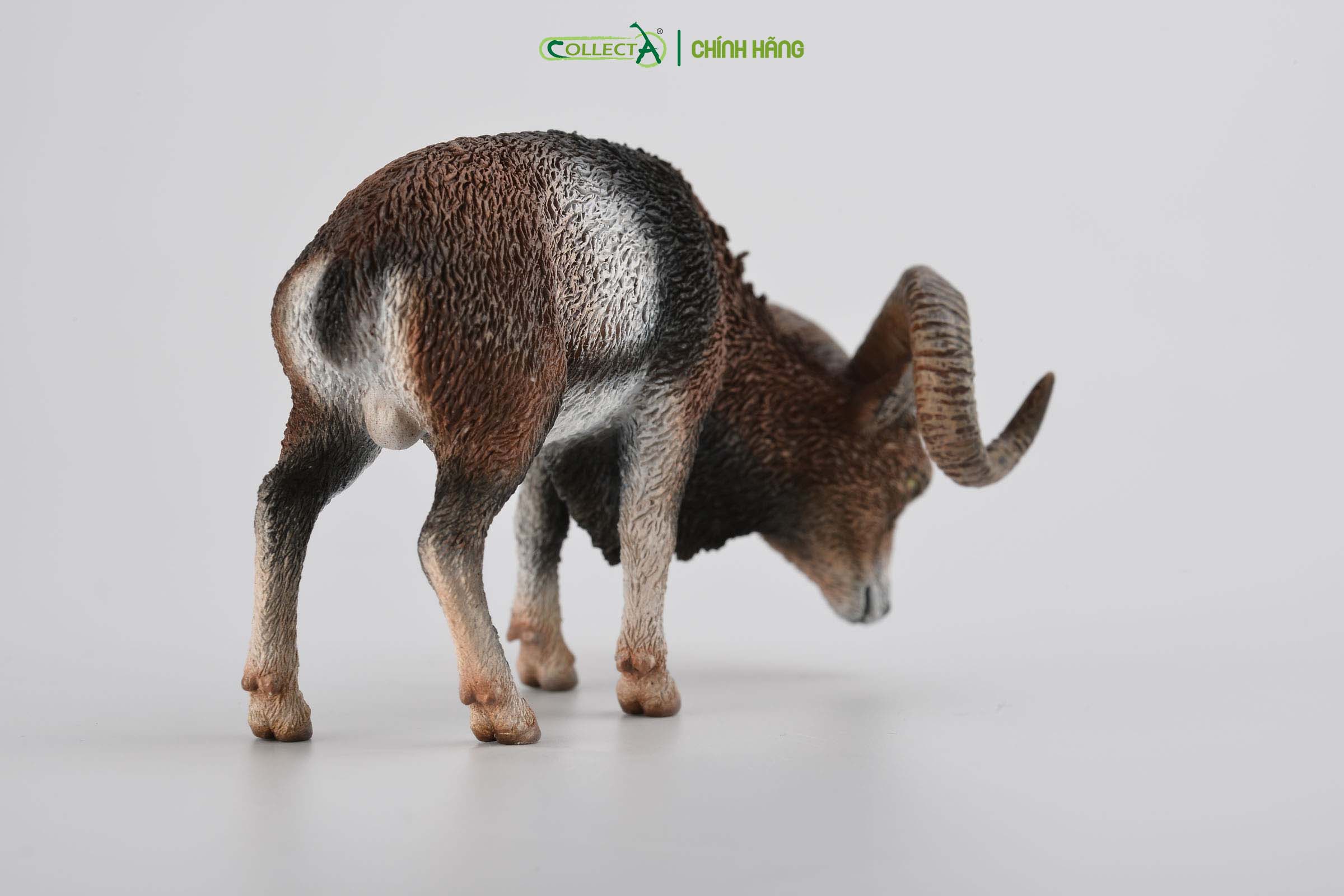 Mô hình thu nhỏ: Cừu Núi - European Mouflon, hiệu: CollectA, mã HS 9651360[88682] -  Chất liệu an toàn cho trẻ - Hàng chính hãng