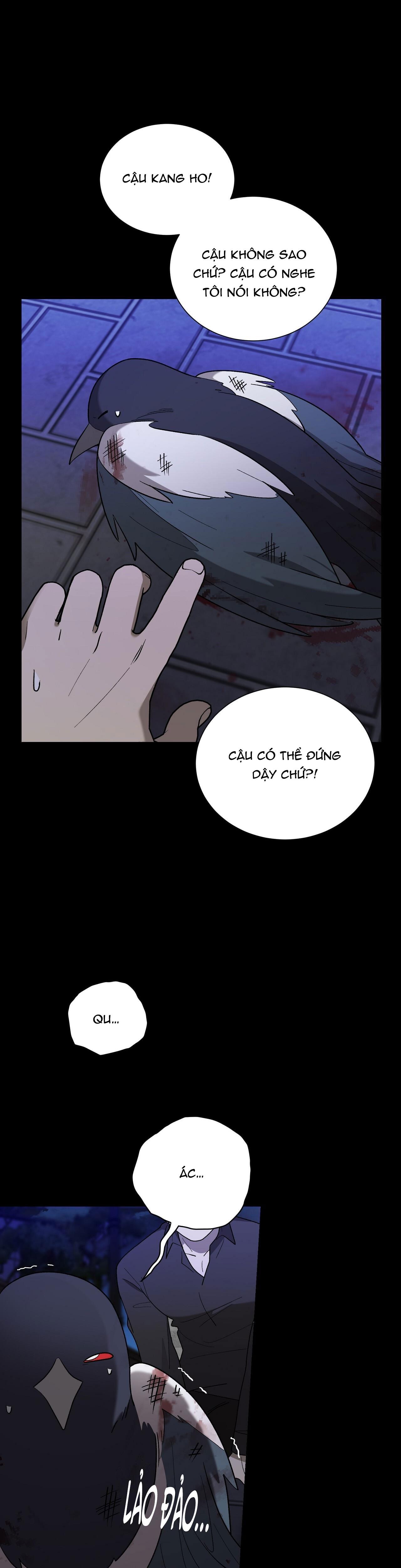 khi chim thước đến chapter 12 28